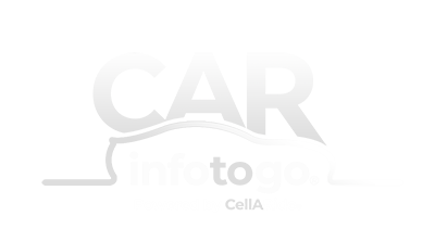 CarInfoToGo Logo